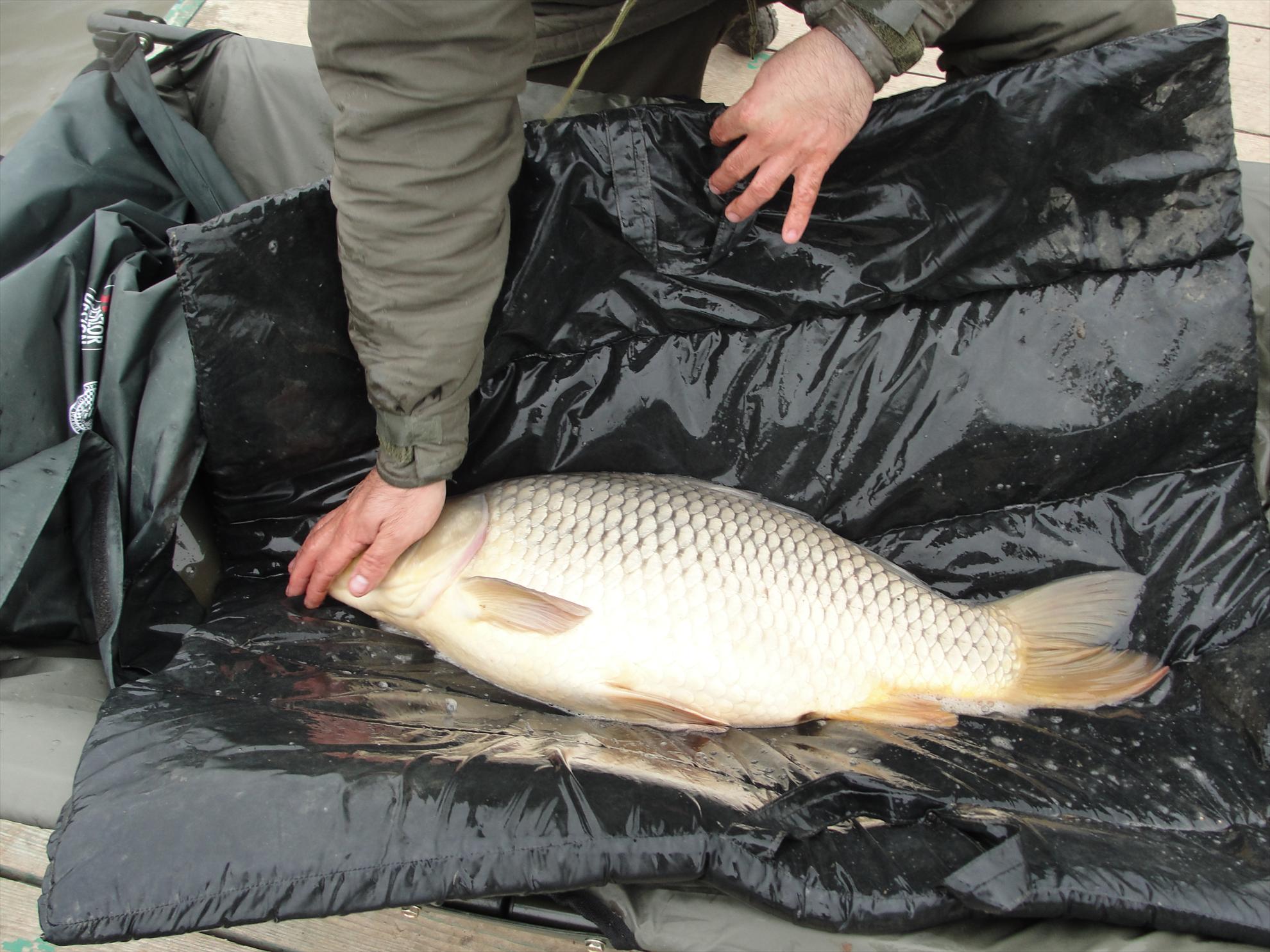 Moara Vlasiei 2 6 - 7 apr. - dsc09417.JPG